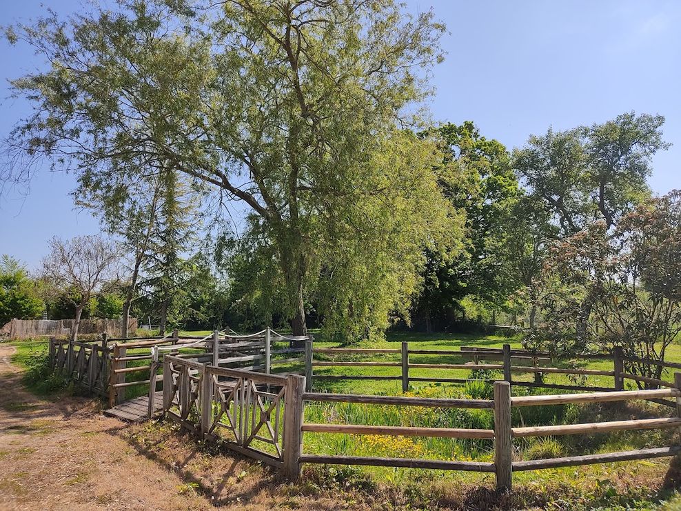 Image de diapositive